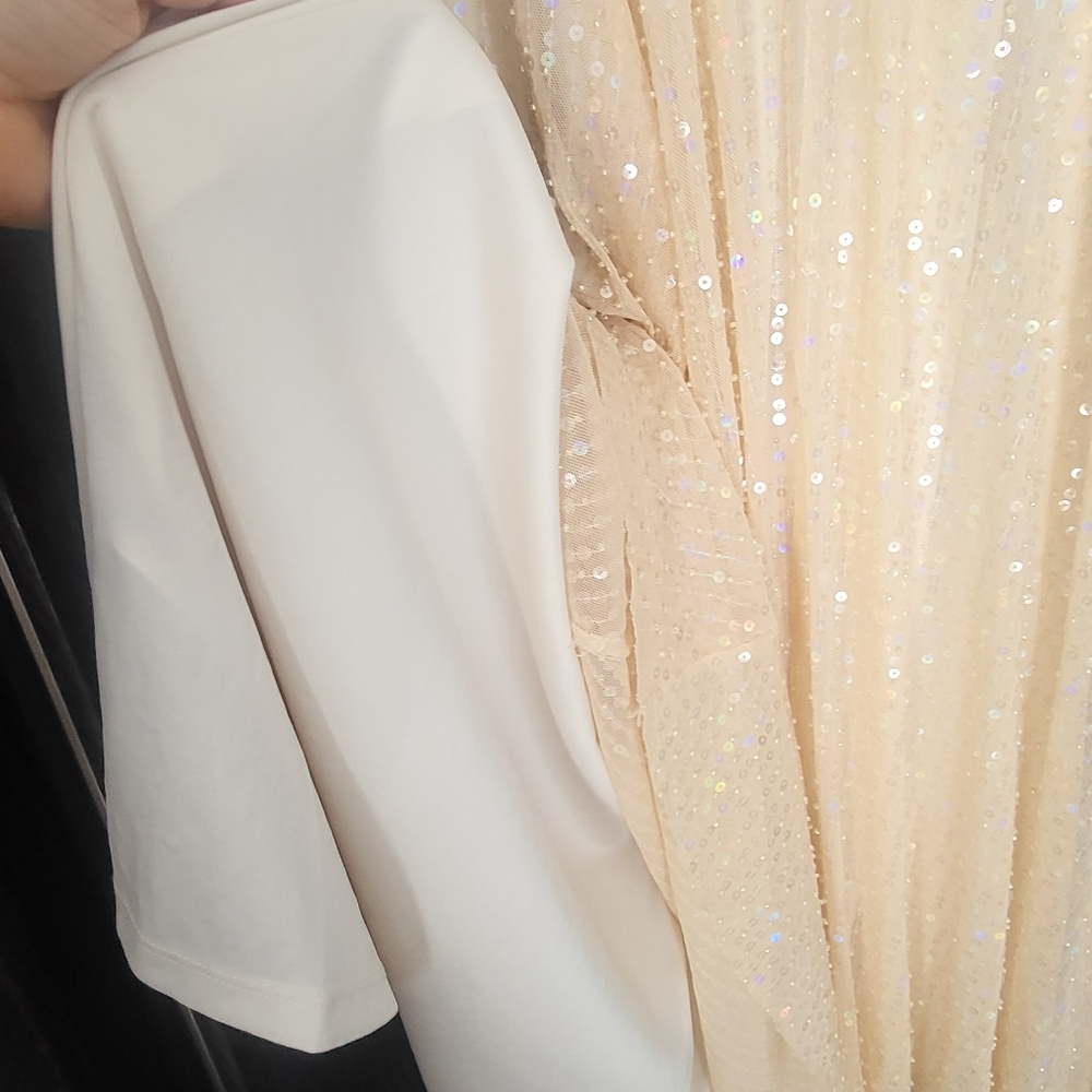 Zara Women's Beaded Sheer Sequins Maxi Dress Beige Size L - Picture 11 of 16